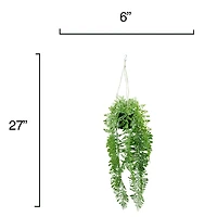 27" Hanging Potted Fern Plant by Ashland®