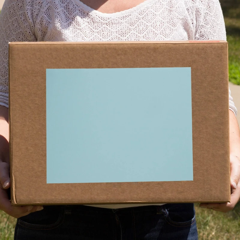 JAM Paper Shipping Labels