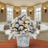 22" Pre-Lit Flocked Chiwawa Basin Pine Tree With Pinecones In Gray Pot, Clear LED Lights