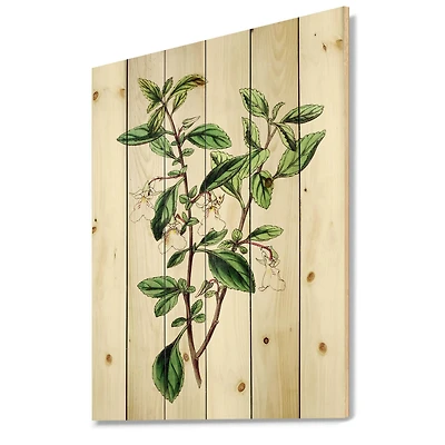 Designart - Vintage Green Leaves Plants VII