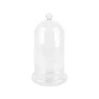 Large Glass Cloche with Base by Ashland®
