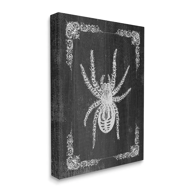 Stupell Industries Black & White Spider Canvas Wall Art