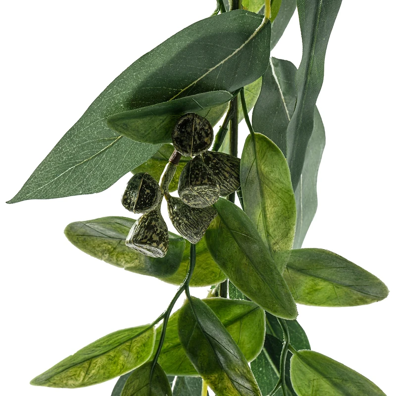 6ft. Eucalyptus Garland with Green Berries by Ashland®