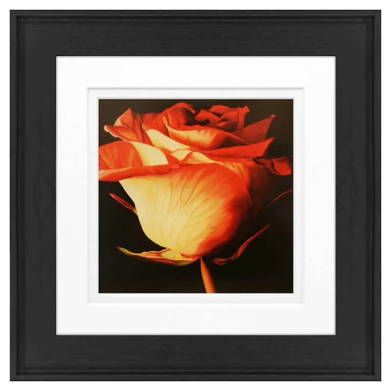 Timeless Frames® Orange Rose Black Framed Wall Art