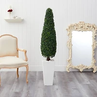 5.25ft. Boxwood Topiary in Tall White Planter