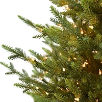 7.5ft. Pre-Lit Fairview Spruce Artificial Christmas Tree, Clear Lights