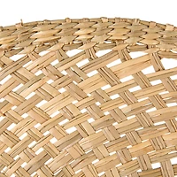 Hello Honey® 18.25" Natural Breezy Seagrass Fan Wall Art