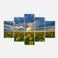 Designart - Beauty Sunset over Sunflowers