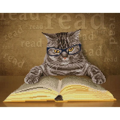 Diamond Dotz® I Can Read Diamond Painting Kit