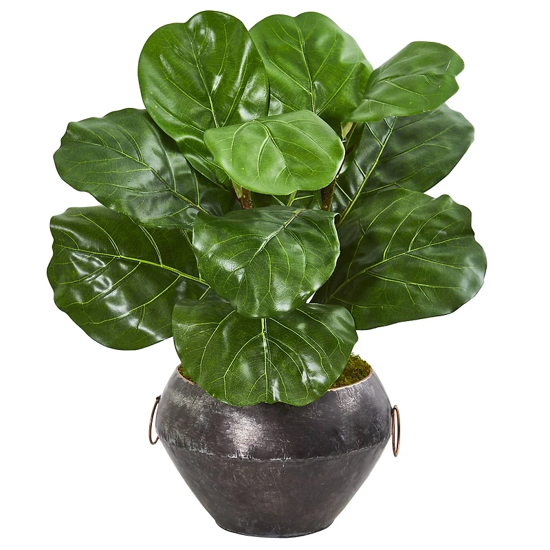 22" Fiddle Leaf Plant in Decorative Planter