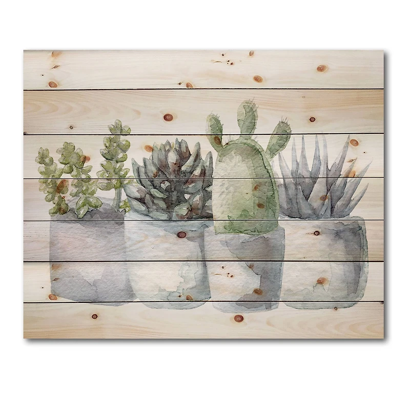 Designart - Cactus and Succulent House Plants I