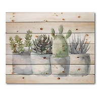 Designart - Cactus and Succulent House Plants I
