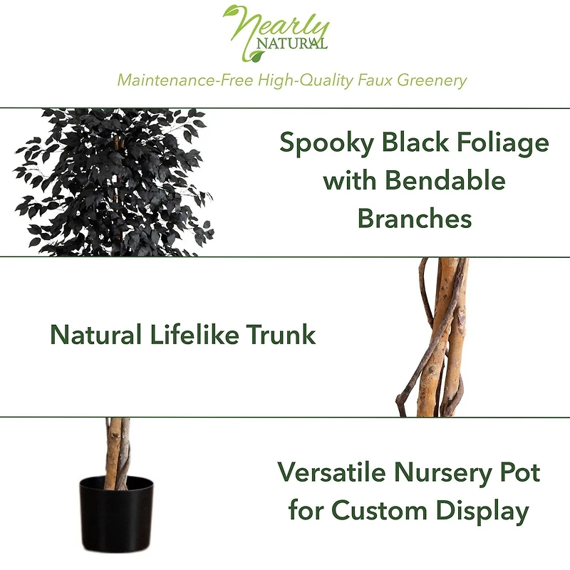 6ft. Artificial Halloween Black Ficus Tree with Natural Trunk