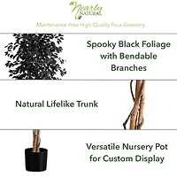 6ft. Artificial Halloween Black Ficus Tree with Natural Trunk