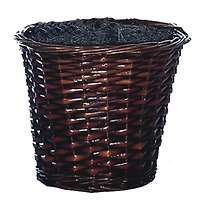 4ft. Artificial Capensia Bush with Rattan Basket