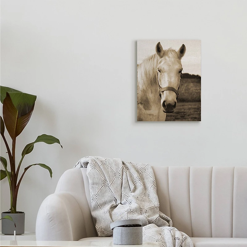Stupell Industries Rustic Sepia tone Portrait of White Horse Canvas Wall Art