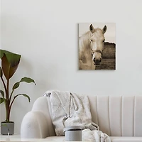 Stupell Industries Rustic Sepia tone Portrait of White Horse Canvas Wall Art