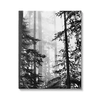 Stupell Industries Forest Light Shining Through Tall Trees Landscape Photography Canvas Wall Art