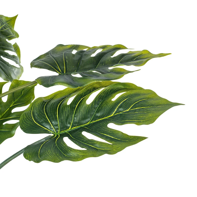 4.5ft. Potted Grand Split Philodendron Tree