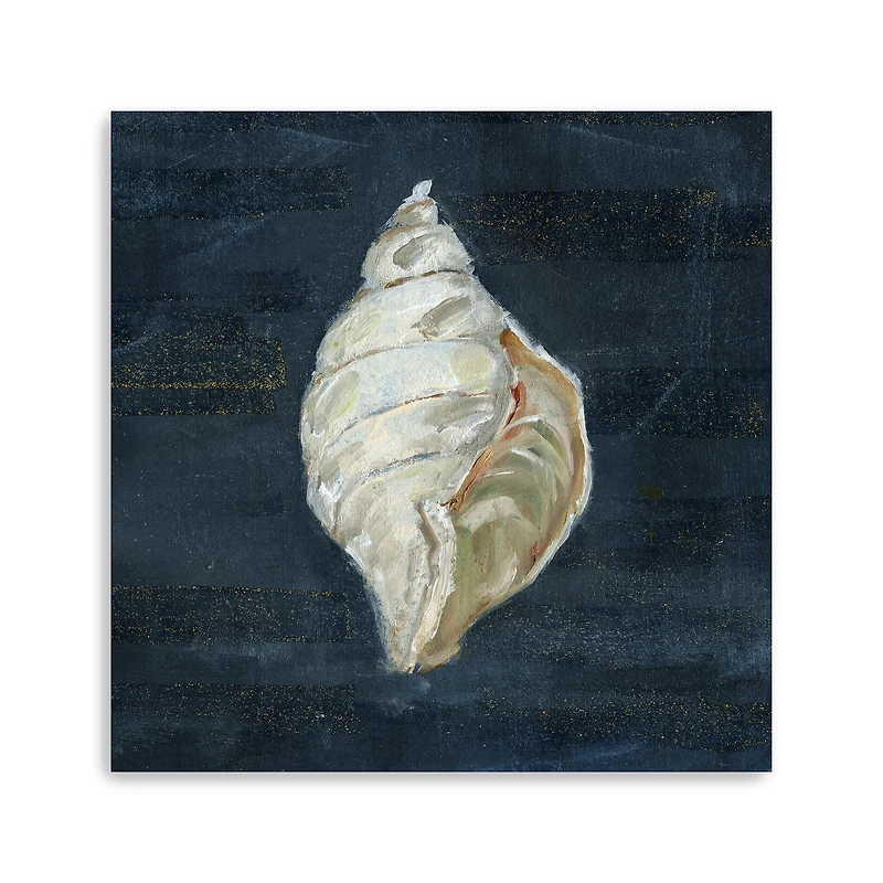 Night Shell II Canvas Giclee