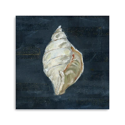 Night Shell II Canvas Giclee