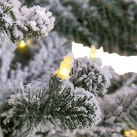 6.5ft. Pre-Lit Snowy Hudson Artificial Christmas Tree