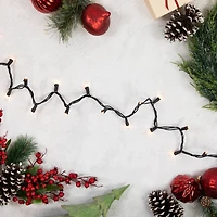 100ct. Mini Christmas String Lights with Black Wire