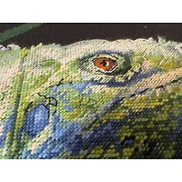 RIOLIS Iguana Counted Cross Stitch Kit 