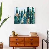 Cacti Garden 20" x 16" Canvas Wall Art