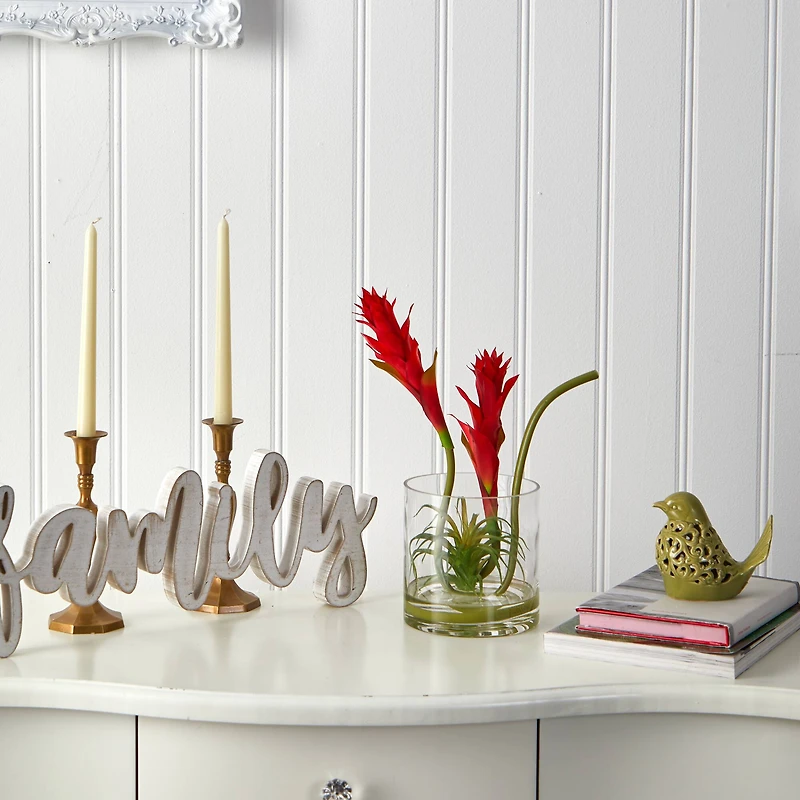 16" Red Star Bromeliad Arrangement in Glass Vase