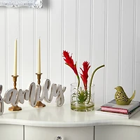 16" Red Star Bromeliad Arrangement in Glass Vase