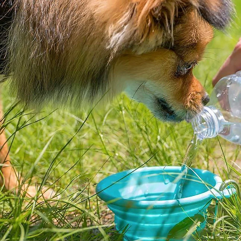 FFD PET 13oz. Silicone Pet Travel Bowl