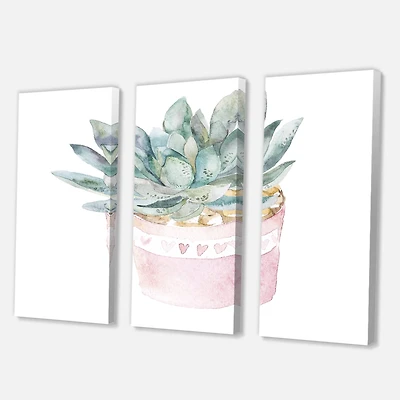 Designart - Cactus and Succulent House Plants II