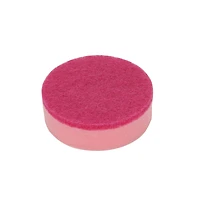 Assorted 3.5" Fruit Scrubby Sponge, 1pc. by Fab Finds