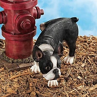 Design Toscano 12" Lifting a Leg Naughty Boston Terrier Dog Statue