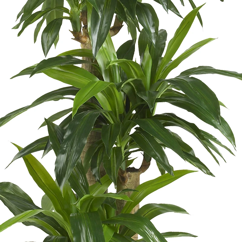 5ft. Corn Stalk Dracaena Silk Plant