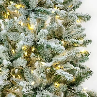 6.5ft. Pre-Lit Snowy Chatham Slim Artificial Christmas Tree, Warm White LED Lights
