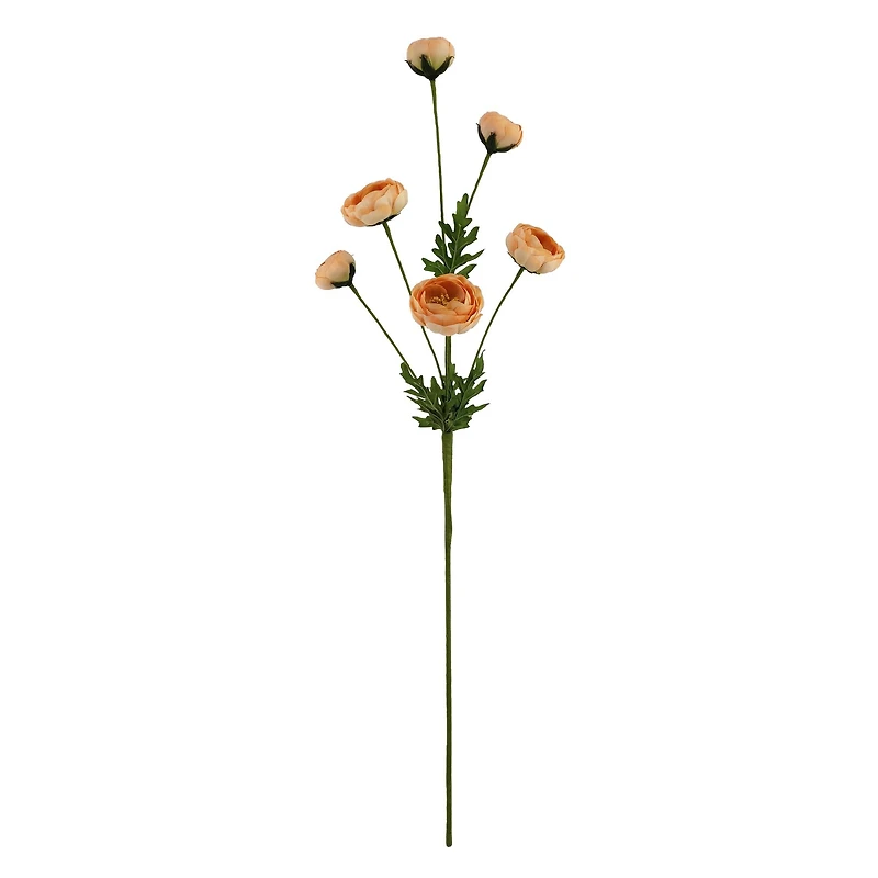 32" Ranunculus Stem with Leaves by Ashland