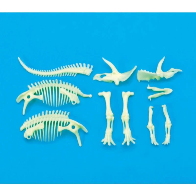 The Original Glowstars® Company Glow-In-The-Dark Dinos Triceratops Skeleton