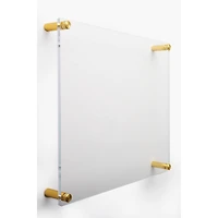 Wexel Art Double Panel Clear Acrylic Floating Wall Frame with Gold Hardware