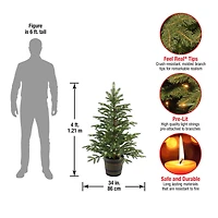 4 ft. Pre-Lit Feel Real® Norwegian Spruce Artificial Christmas Entrance Tree, Clear Lights