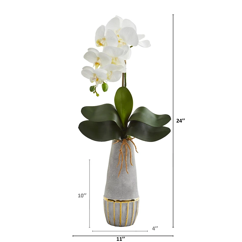 24" Phalaenopsis Orchid Artificial Arrangement in Stoneware Vase with Gold Trimming