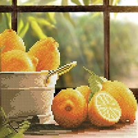 Diamond Art by Leisure Arts Moderate Lemons Kit