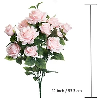 12 Pack: Rose Bush by Ashland