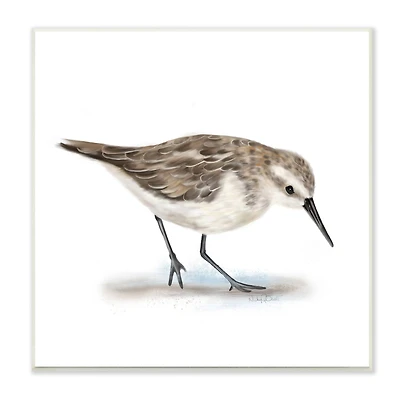 Stupell Industries Charming Sandpiper on Soft Sand Brown Nautical Bird,12" x 12"