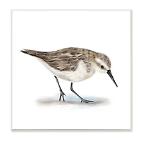 Stupell Industries Charming Sandpiper on Soft Sand Brown Nautical Bird,12" x 12"