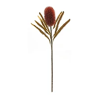 24" Burnt Orange Banksia Floral Stems. 6ct.