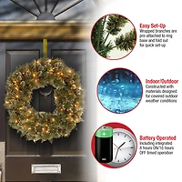 24" Glittery Bristle® Pine Wreath with Pine Cones & Warm White LED Lights