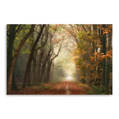 Path of Dreams Canvas Giclee