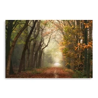 Path of Dreams Canvas Giclee